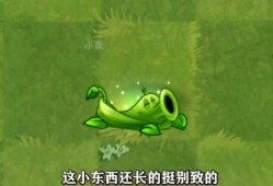 豌豆藤蔓爆料视频在线观看,揭秘视频背后的精彩瞬间